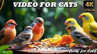 Cat TV for Cats 😺🐦 Ultimate Bird \u0026 Squirrel Relaxation | 4K HDR Nature Show