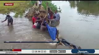 വൈപ്പിന്‍കാട് വടക്ക് കൊയ്ത്ത് തുടങ്ങാനിരുന്ന പാടശേഖരത്തിൽ മട വീണു