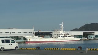 １２月２０日　第8旭丸の鰹水揚げ(Bonito landing at Asahi Maru No.8)