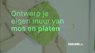 Ontwerp je eigen muur van mos en planten