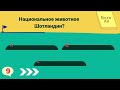 Вы Обладаете Редчайшей Эрудицией если осилите этот тест хотя бы 8 из 25 Интересный Тест