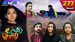 Zahar Zindagi - Ep 277 | Sindh TV Soap Serial | SindhTVHD Drama