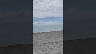 #miami#florida#vacation#subscribe#beach#shortvideo#shorts#short#instagram#tiktok#viral#live#fypシ