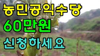 전라북도 농민공익수당 60만원 일괄지급 / 전북 농업 농촌 공익적 가치 지원사업