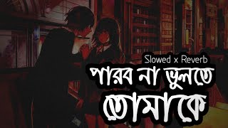 Parbona - (Slowed And Reverb) - Borbaad | Bonny | Rittika | Arijit | Prashmita | Arindom