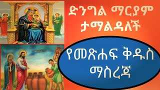 ድንግል ማርያም ታማልዳለች መጽሐፍ ቅዱሳዊ እውነት/ምልጃ/ድንግል ማርያም Dn Tewo Tube ዲ.ን ቴዎ ቲዩብ orthodox teaching