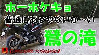 【モトブログ】ホーホケキョ　発見！鶯の滝【CBR250RRと探せ！】