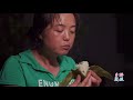 chinese traditional food zongzi 摘粽葉，包粽子【鄉野蓮姐】@4k