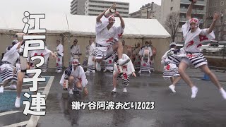 冷雨のなか、飛ぶよ、飛んだ、飛び跳ねた❕「江戸っ子連」鎌ケ谷阿波おどり（ 2023.3.18）