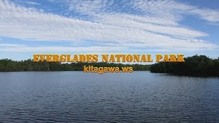 エバーグレーズ国立公園 Everglades National Park