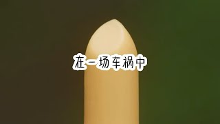 名：闪闪动心。热门小说推荐。