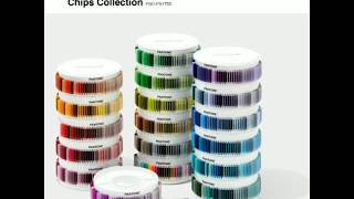 Pantone Plus Plastic Standard  Chips Collection PSC-PS1755