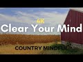 Corn Field Wind Ambience for Sound Background