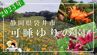 【可睡ゆりの園】2023年５月27日の状況を動画にしましたので発信します。是非、動画を視聴していただき、見頃を予想してご来園していただけたら幸いです。