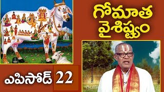 గోమాత వైశిష్ట్యం // ఎపిసోడ్ 22 // డాక్టర్ రంగ రామానుజాచార్యులు