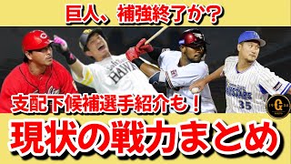 【足りない？】巨人、補強終了か？現状の戦力まとめと支配下候補選手紹介！！個人的意見も語ります