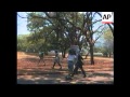 ZIMBABWE: HARARE: RIOT POLICE CLASH WITH TRADE UNION MEMBERS