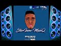 Space Ship - Vega Star E.P(StarIano MusiQ) Official Audio