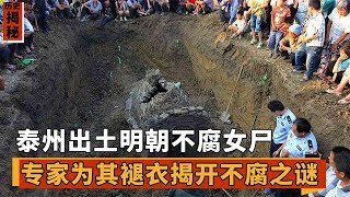 泰州出土明代不腐女尸，眉毛 五官清晰可见，专家揭开其不腐原因【墓史迷踪】