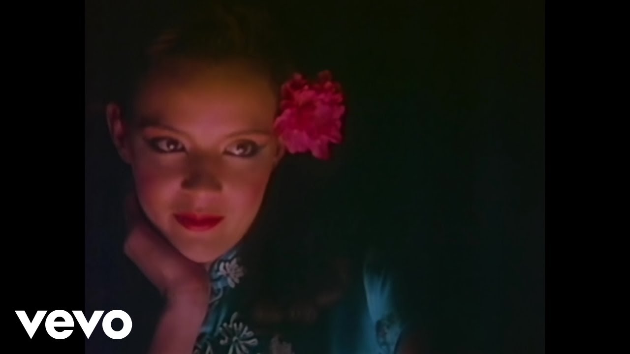 Vinylshakerz S One Night In Bangkok Sample Of Murray Head S One