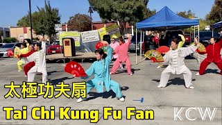 Martial Arts: Tai Chi Kung Fu Fan 太極功夫扇