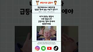 연금계좌에서 배당주를 담아야만 하는 이유