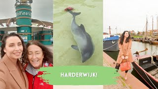 HARDERWIJK DOLPHINARIUM🌊🐬 Harderwijk Dolphinarium, Netherlands!