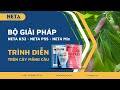 NETAGRO | Trình diễn bộ giải pháp NETA P55 - NETA MIX - NETA K52 trên vườn cây mãng cầu (cây na)