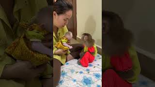 adorable baby chichi & monkey jenny so beautifull