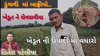 ડુંગળી ll ખેડૂત ધીરુભાઈ ll જબરદસ્ત મૂળ ll ખેતીકાસાગર  ll