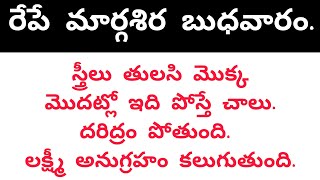 రేపే మార్గశిర బుధవారం. స్త్రీలు తులసి మొక్క మొదట్లో ఇది పోస్తే చాలు. దరిద్రం పోతుంది.