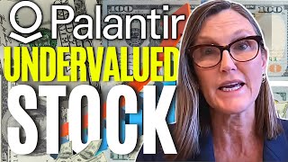 PLTR Stock Update - The Bulls and The Bears of Palantir