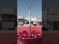 Containership VS Drone ⚓💪 #ship #shorts #drone