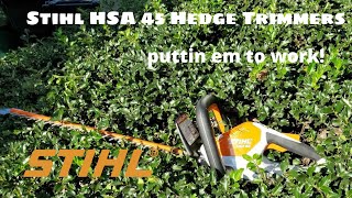 Stihl Hedge Trimmers HSA 45 Review