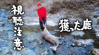 #2-A 【⚠️視聴注意】仕留めた鹿・鹿肉の一時保存