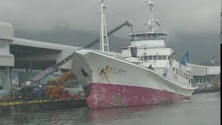 1月27日　第11日光丸は515トンの水揚げ(The 11th Nikko Maru landed 515 tons)