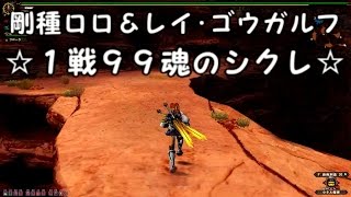 【MHF G】　Akiの日常　第６８弾　見た目装備で剛種ロロ＆レイ・ゴウガルフ　☆１戦で９９魂のシクレ☆