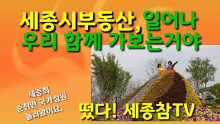 58.세종시부동산,세종시공인중개사 모임 세중회 떴다.순천만국가정원