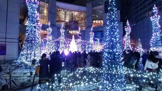 CARETTA SHIODOME TOKYO JAPAN ILLUMINATION 2020