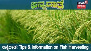 ಅನ್ನದಾತ | Guide To Fish Harvesting | July 26, 2018