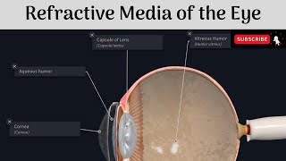 The Refractive Media of the Eye | Cornea | Aqueous Humour | Lens | Vitreous Humour