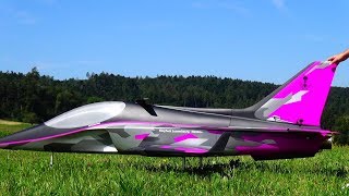 INCREDIBLE JET MANEUVER RC MEPHISTO VECTOR TURBINE MODEL