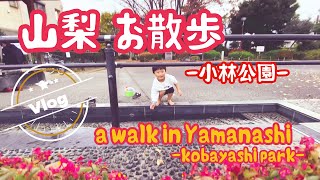 【山梨】Vlog 石和温泉駅近くの公園をお散歩してみた！足湯もあったよ！