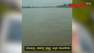 ಮೈದುಂಬಿ ಹರಿಯುತ್ತಿರುವ ಕೃಷ್ಣಾ ನದಿಯಲ್ಲಿ ಮೊಸಳೆಗಳು ಪ್ರತ್ಯಕ್ಷ! #krishnariver #crocodile #raineffect