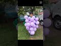 Darien's Grape Costume | Fancy Dress