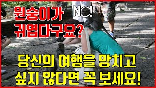 발리여행 이런건 무조건 조심하세요!!! 여러분의 여행을 망치고 싶지 않다면 꼭 봐야하는 영상!