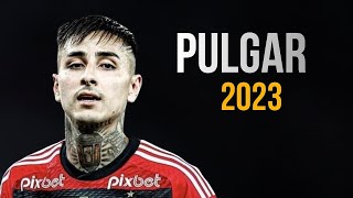 Erick Pulgar 2023 • Flamengo - Amazing Skills,Goals & Assists | HD