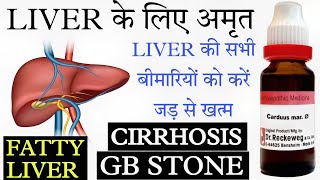 #Carduusmarianus | #Liver#fattyliver | Liver cirrrhosis | jaundice | hepatomegaly Homeopathic cure