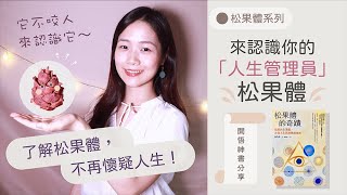 [第三眼系列] 你的人生是松果體在管理！開悟書分享：松果體的奇蹟💫