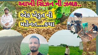 આખી સીઝન ની એક ઝલક...|મગફળી નો પાક એક |ખેડુત ની મહેનત#village life with farming #jay javan jay kisan